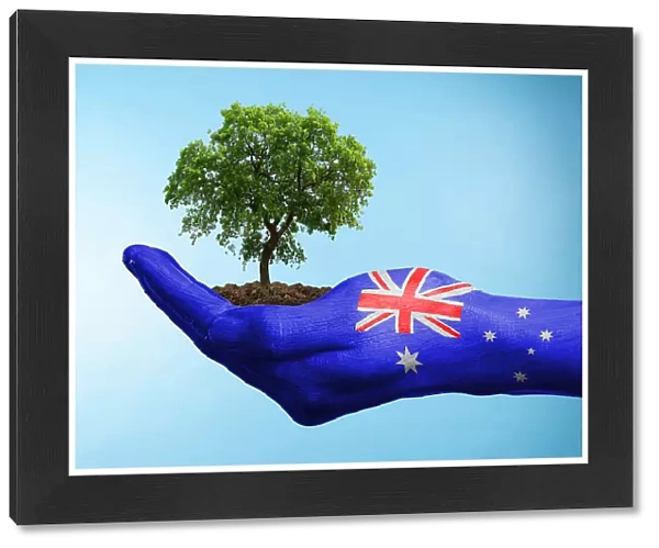 Hand with flag of Australia holding a tree