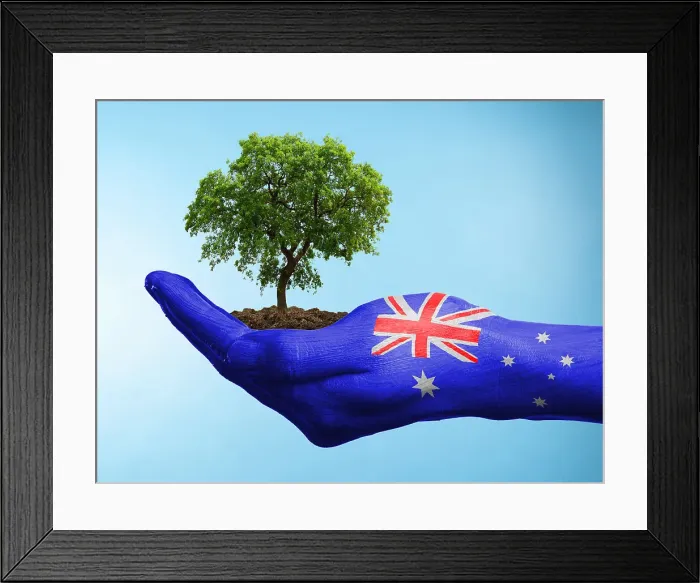 Framed Print : Hand with flag of Australia holding a tree Framed Print : Hand with flag of Australia holding a tree