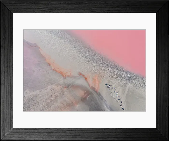 Framed Print : Drone view point of the pink shades of color, patterns and textures over Pink Lake waters with dark salty sandy soil
