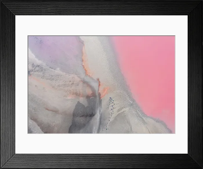 Framed Print : Drone view point of the pink shades of color, patterns and textures over Pink Lake waters with dark salty sandy soil Framed Print : Drone view point of the pink shades of color, patterns and textures over Pink Lake waters with dark salty sandy soil
