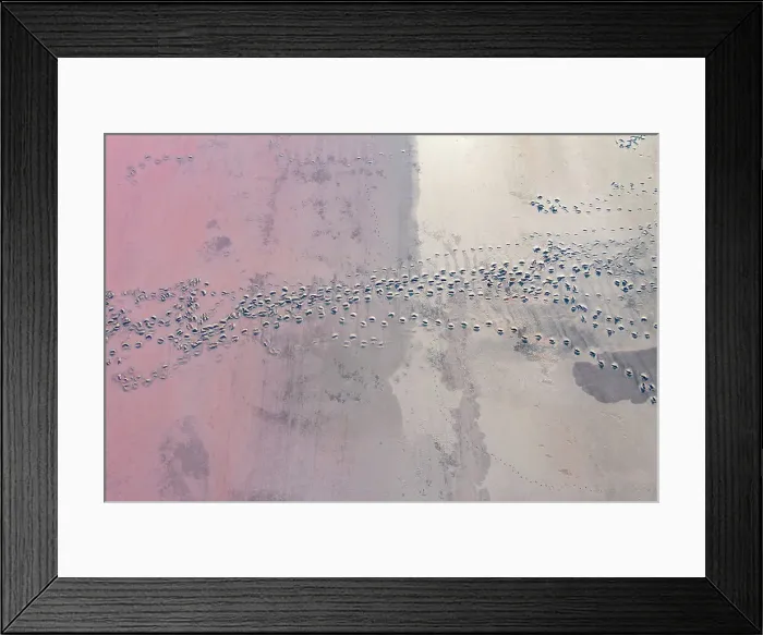 Framed Print : Drone view point of the pink shades of color, patterns and textures over Pink Lake waters with dark salty sandy soil Framed Print : Drone view point of the pink shades of color, patterns and textures over Pink Lake waters with dark salty sandy soil