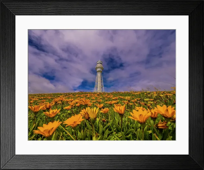 Framed Print : A view of Currie Harbour, west coast of King Island, Bass Strait, Tasmania, Australia Framed Print : A view of Currie Harbour, west coast of King Island, Bass Strait, Tasmania, Australia