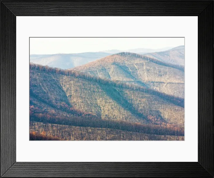 Framed Print : Mount Slide, Kinglake National Park, Victoria, Australia Framed Print : Mount Slide, Kinglake National Park, Victoria, Australia