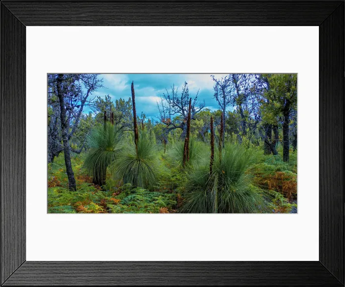 Framed Print : Wilson's Promontory National Park, south Gippsland, Victoria, Australia