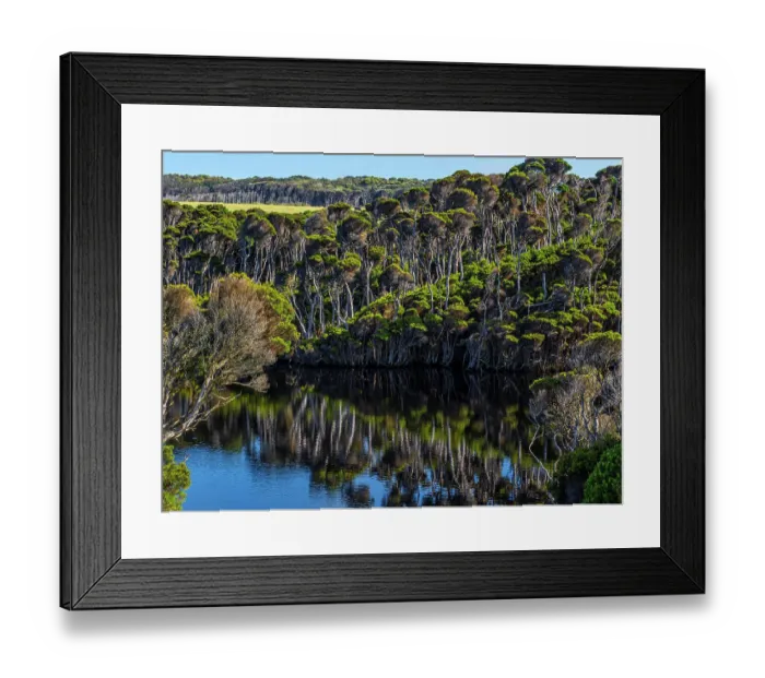 Framed Print : Surprise bay Melaleuca reflections, King Island, Bass Strait, Tasmania, Australia Framed Print : Surprise bay Melaleuca reflections, King Island, Bass Strait, Tasmania, Australia