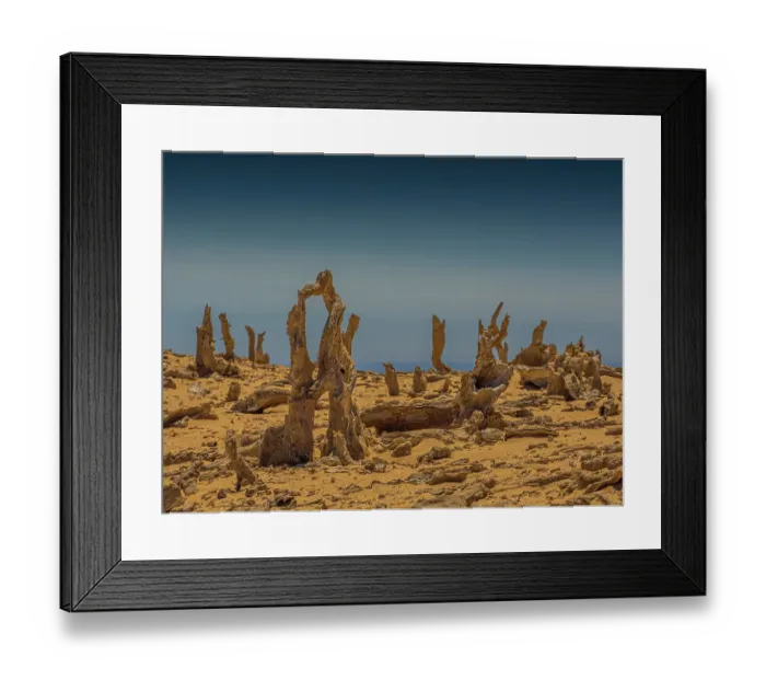 Framed Print : The calcified Forest on King Island, Bass Strait, Tasmania, Australia