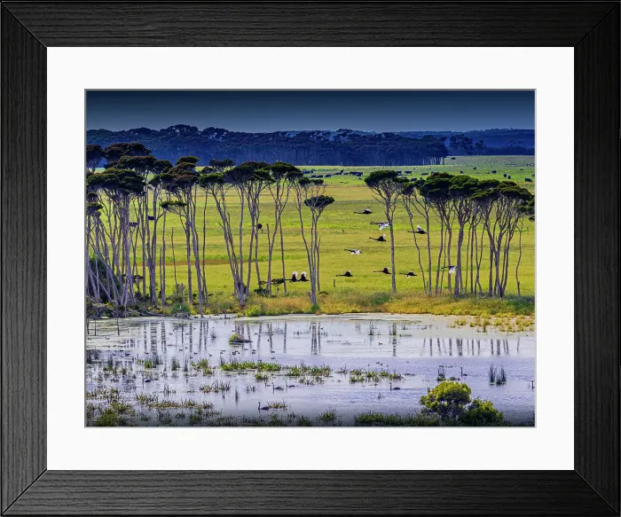 Framed Print : Bob's Lagoon, King Island, Bass Strait, Tasmania, Australia Framed Print : Bob's Lagoon, King Island, Bass Strait, Tasmania, Australia