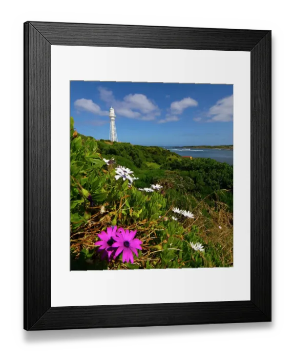 Framed Print : A view of Currie Harbour, west coast of King Island, Bass Strait, Tasmania, Australia