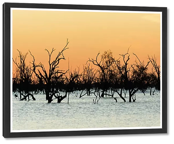 Sunset over Menindee Lakes, Australia
