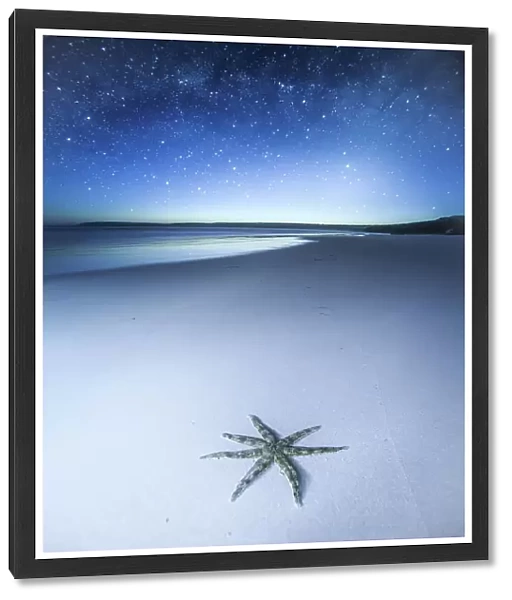 Thousands of stars and a starfish. Starfish on a beach at night. The night sky, stars and night sky in the background. Wreck Beach. Sleaford Bay. Eyre Peninsula. South Australia