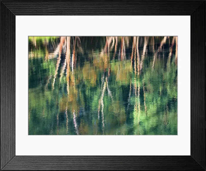 Framed Print : Reflection of a gum tree in the Murray River. Renmark. South Australia