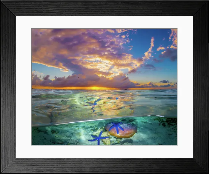Framed Print : Starfish. Sunrise on the reef Framed Print : Starfish. Sunrise on the reef