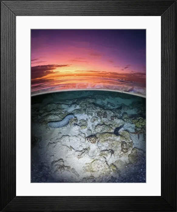 Framed Print : Lady Elliot Island Sunrise Framed Print : Lady Elliot Island Sunrise