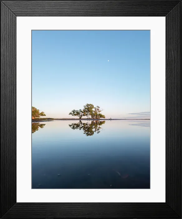 Framed Print : Tree mirror