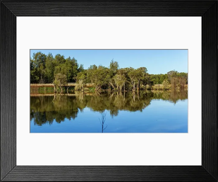Framed Print : Reflections On Nature Framed Print : Reflections On Nature