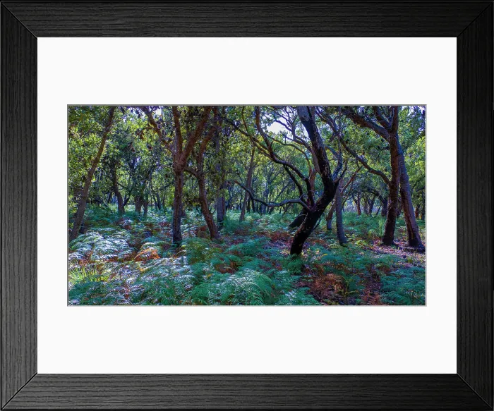 Framed Print : Wilson's Promontory National Park, south Gippsland, Victoria, Australia