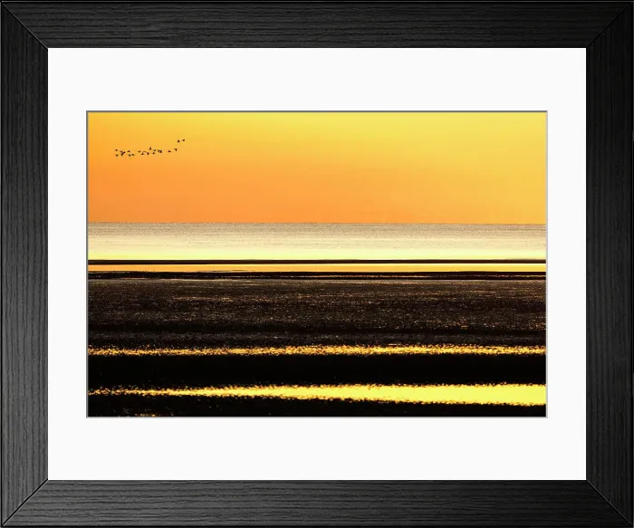 Framed Print : Birds fly above the sea during sunrise Framed Print : Birds fly above the sea during sunrise