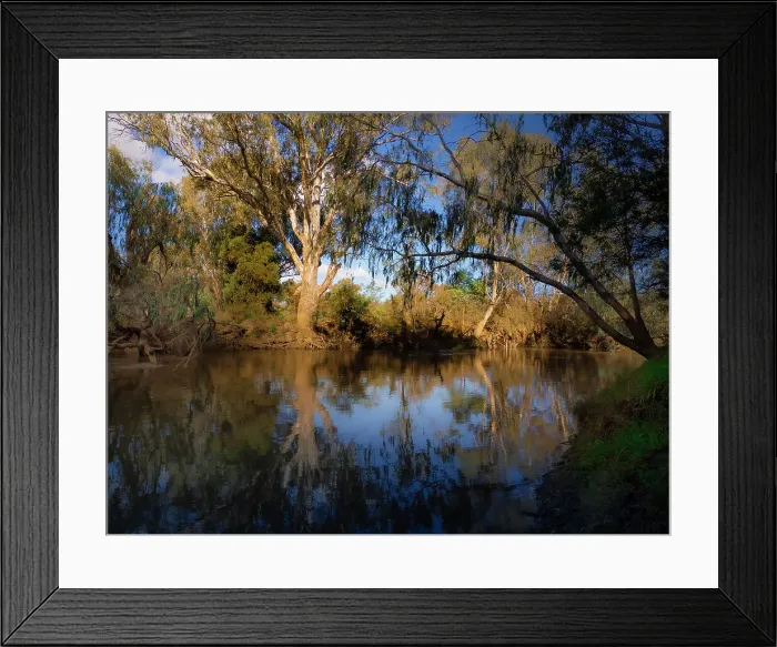 Framed Print : Along the banks of the Ovens river at Wangaratta in late Autumn, North Central Victoria, Australia