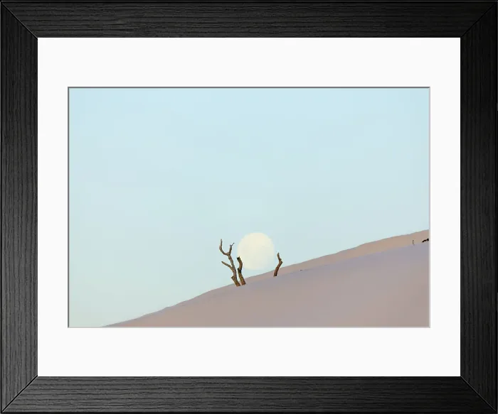 Framed Print : Full moon over dead trees, Eyre Peninsula, South Australia Framed Print : Full moon over dead trees, Eyre Peninsula, South Australia