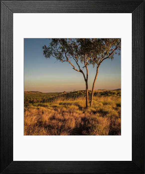 Framed Print : Golden light Framed Print : Golden light