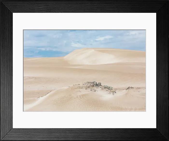 Framed Print : Beautiful sand dunes Framed Print : Beautiful sand dunes