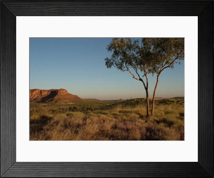 Framed Print : Dusk in the outback