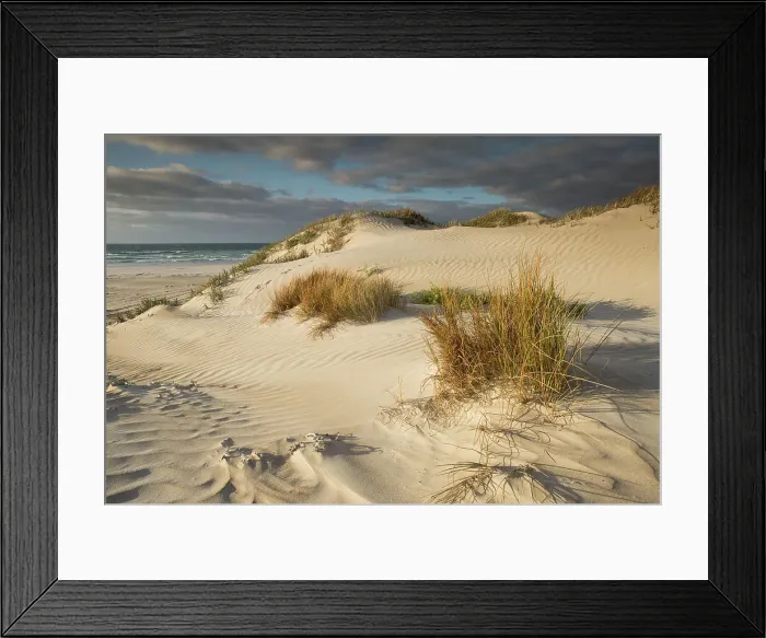 Framed Print : Coastal dunes Framed Print : Coastal dunes