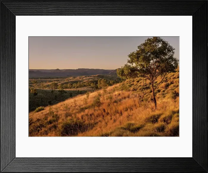 Framed Print : Outback landscape