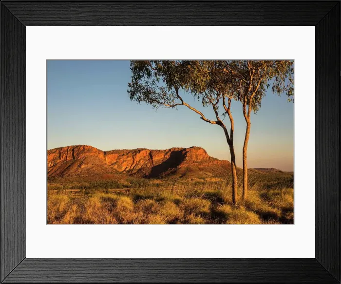 Framed Print : Golden light on an outback landscape Framed Print : Golden light on an outback landscape