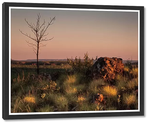 Dawn over the outback landscape