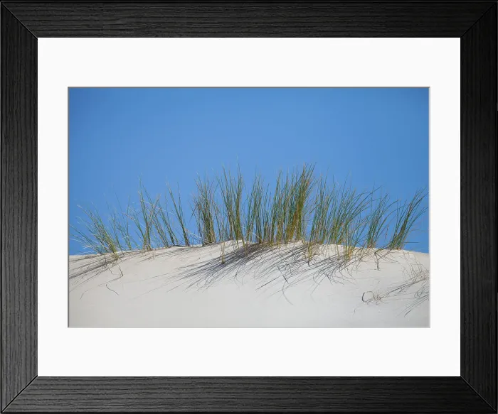 Framed Print : Dune grass Framed Print : Dune grass
