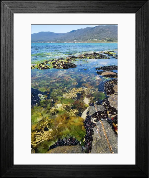 Framed Print : Rockpools at edge of Tessellated Pavement Tasmania