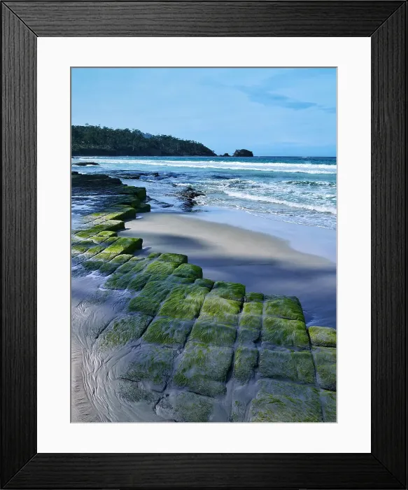 Framed Print : Moss covered rock formation at beach, Tessellated Pavement, Tasmania Framed Print : Moss covered rock formation at beach, Tessellated Pavement, Tasmania