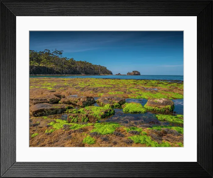 Framed Print : A view of the Tessalated pavement at Pirates bay, Tasman Peninsular, Tasmania, Australia Framed Print : A view of the Tessalated pavement at Pirates bay, Tasman Peninsular, Tasmania, Australia