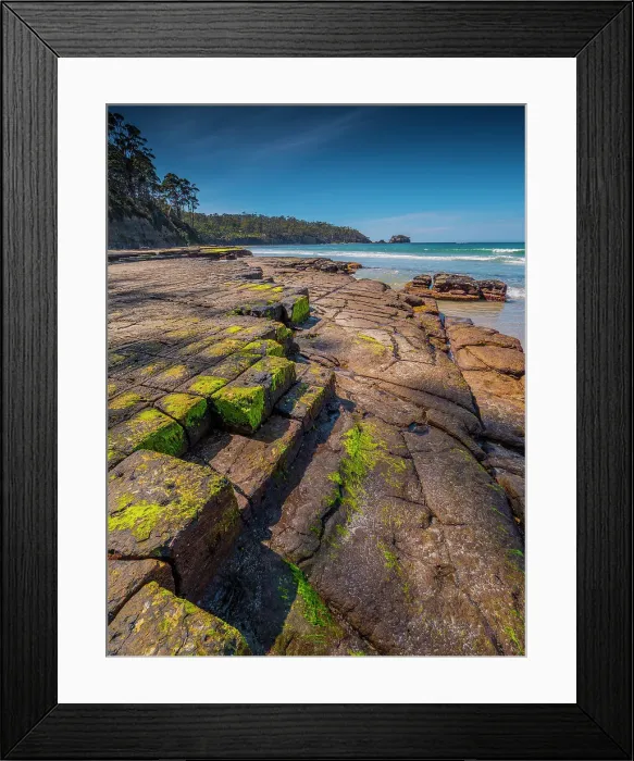 Framed Print : A view of the Tessalated pavement at Pirates bay, Tasman Peninsular, Tasmania, Australia