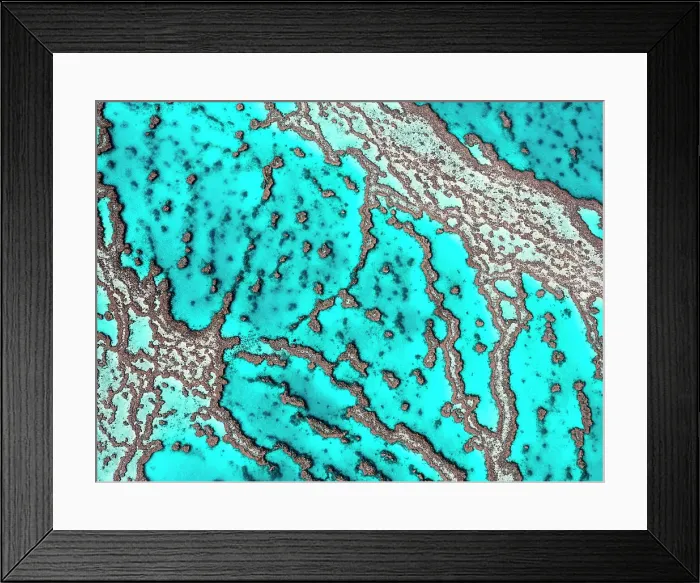 Framed Print : The Great Barrier Reef
