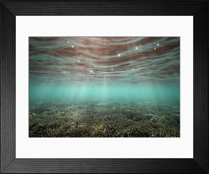 Framed Print : Heron Island Aerial View
