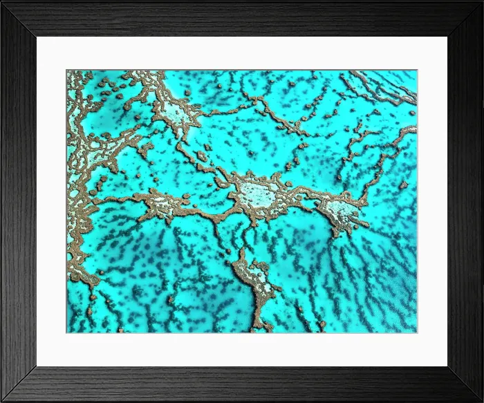 Framed Print : The Great Barrier Reef Framed Print : The Great Barrier Reef