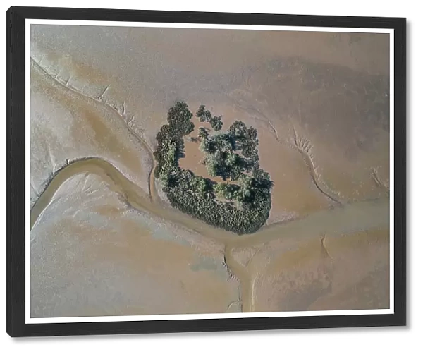 Bush in the Fitzroy River estuary seen from a drone perspective, Derby, Western Australia, Australia