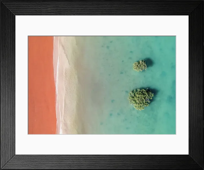 Framed Print : Two mangrove trees in the Indian Ocean photographed from a drone point of view, Simpson Beach, Broome, Western Australia, Australia