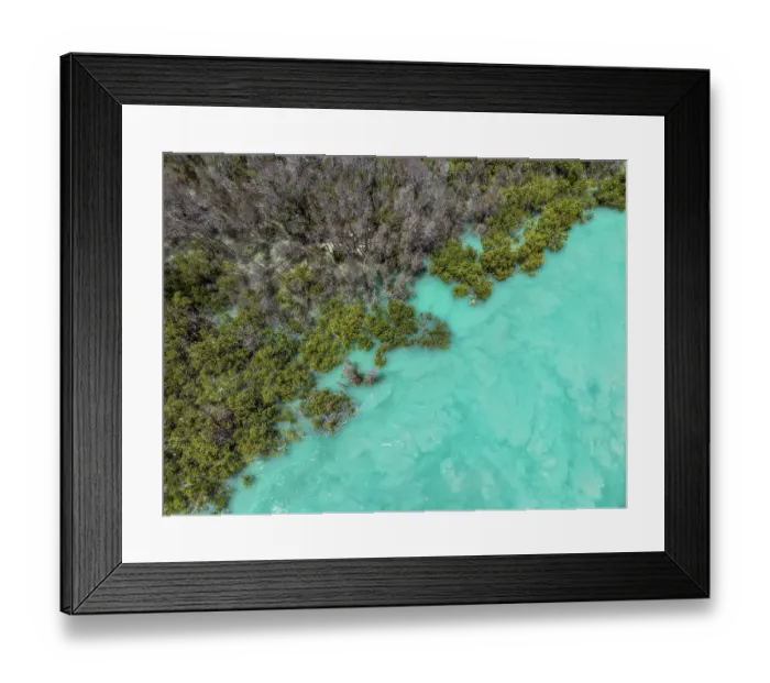Framed Print : Turquoise waters at the edge of a forest photographed from an aerial perspective, Willie Creek, Western Australia, Australia