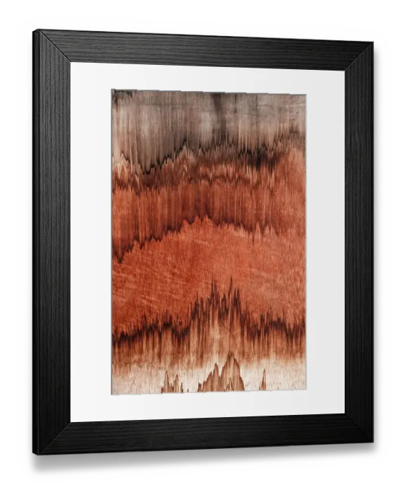 Framed Print : Macro shot showing stained wood, Wyndham, Western Australia, Australia Framed Print : Macro shot showing stained wood, Wyndham, Western Australia, Australia