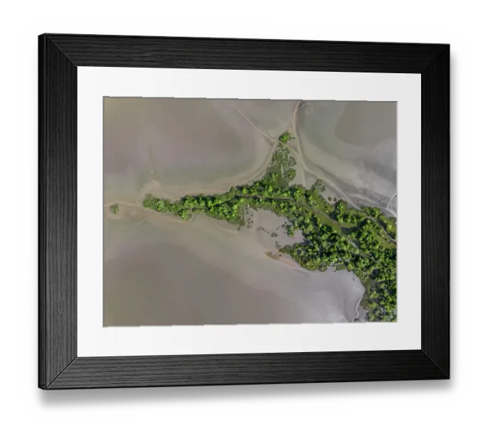 Framed Print : Plants growing on a mud flat shot from a drone perspective, Wyndham, Western Australia, Australia