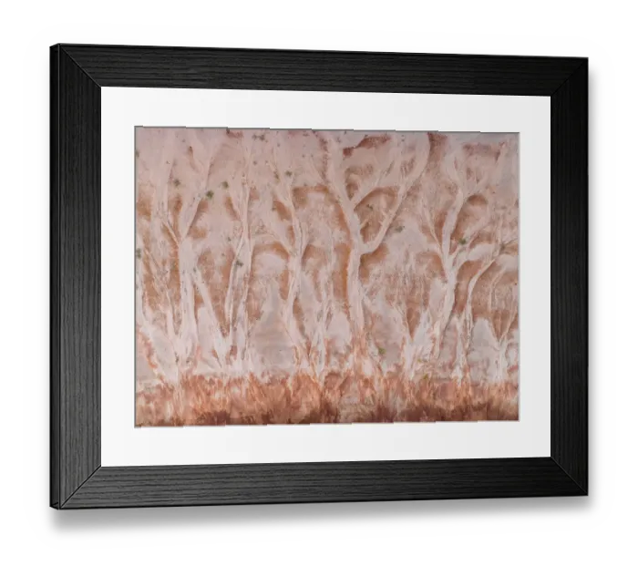 Framed Print : Shoreline of a salt lake photographed from a drone point of view, Derby, Western Australia, Australia