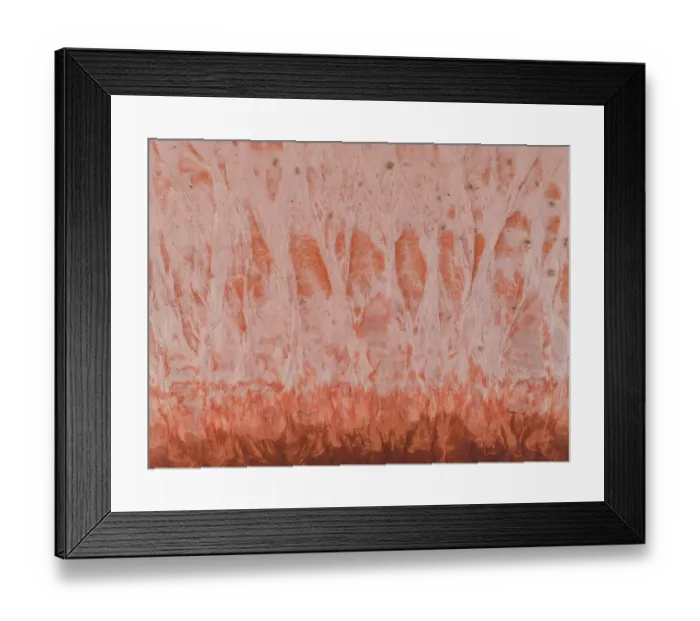 Framed Print : Drone image looking down on the shoreline of a salt lake, Derby, Western Australia, Australia