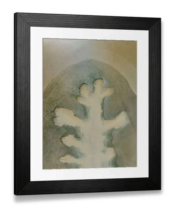 Framed Print : Patterns formed by a tributary from the Fitzroy River photographed from a drone point of view, Derby, Western Australia, Australia Framed Print : Patterns formed by a tributary from the Fitzroy River photographed from a drone point of view, Derby, Western Australia, Australia