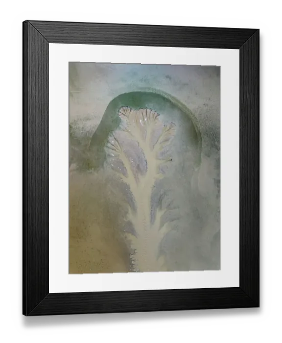Framed Print : Fitzroy River tributary photographed from a birds-eye perspective, Derby, Western Australia, Australia