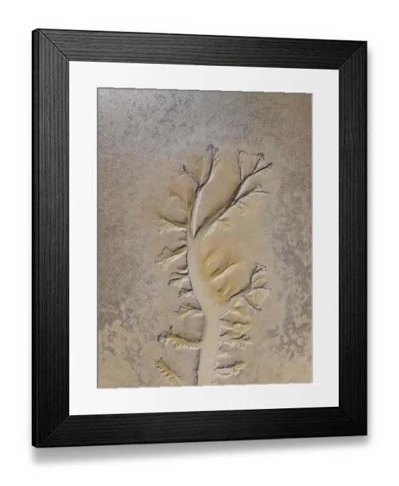 Framed Print : Tributary from the Fitzroy River photographed from a drone perspective, Derby, Western Australia, Australia Framed Print : Tributary from the Fitzroy River photographed from a drone perspective, Derby, Western Australia, Australia