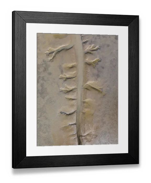 Framed Print : Stream leading to the Fitzroy River seen from an overhead perspective, Derby, Western Australia, Australia Framed Print : Stream leading to the Fitzroy River seen from an overhead perspective, Derby, Western Australia, Australia