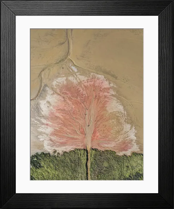Framed Print : Drone shot showing an outflow of liquid into an estuary at low tide, Derby, Western Australia, Australia Framed Print : Drone shot showing an outflow of liquid into an estuary at low tide, Derby, Western Australia, Australia